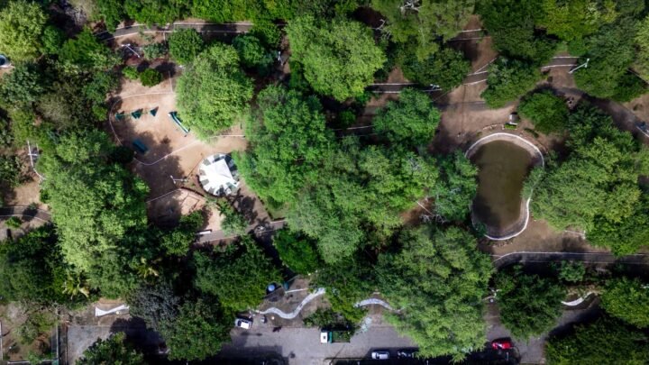 Caruaru promove ação de tênis de mesa, no Parque São Francisco, neste domingo (16)