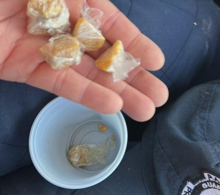 Guarda Municipal de Caruaru apreende crack e dinheiro durante patrulhamento