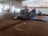 Feira do Boa Vista é requalificada com melhoras na estrutura, organização e condições para feirantes e compradores