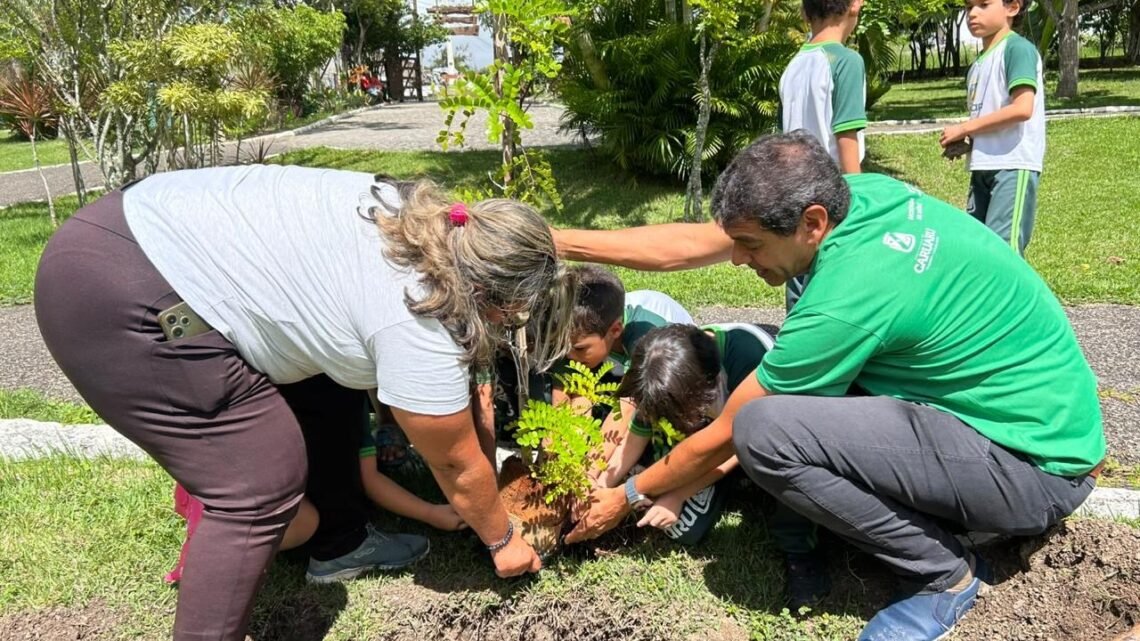 Caruaru fica em primeiro lugar no Nordeste em edital federal para arborização urbana e enfrentamento ao calor