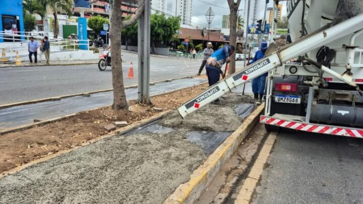 Novo canteiro da Avenida Agamenon Magalhães começa a ganhar forma com a requalificação