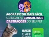 Saiba como fazer agendamentos para o Hospital Veterinário Municipal pelo aplicativo Minha Caruaru