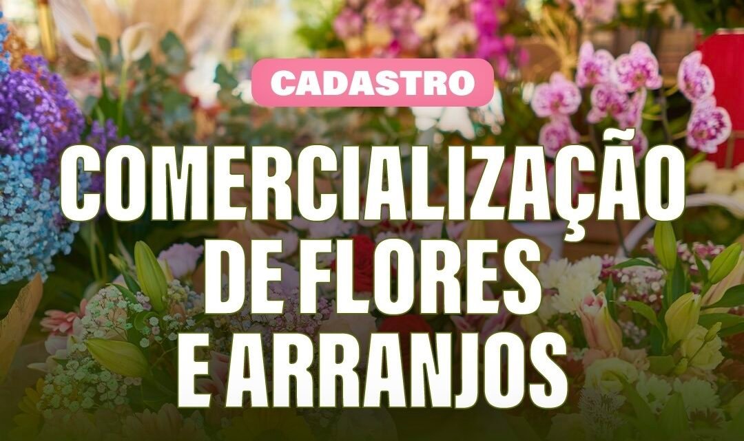 Prefeitura de Caruaru abre cadastro para comercialização de flores e arranjos no Dia de Finados