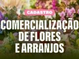 Prefeitura de Caruaru abre cadastro para comercialização de flores e arranjos no Dia de Finados