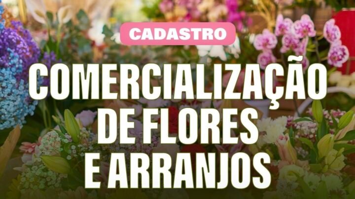 Prefeitura de Caruaru abre cadastro para comercialização de flores e arranjos no Dia de Finados
